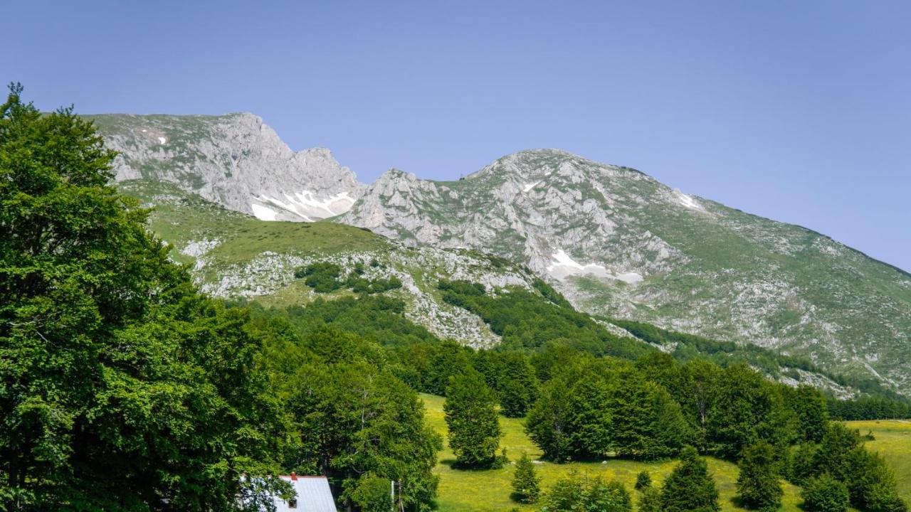 Mountain House Drveni Raj Villa Žabljak Dış mekan fotoğraf